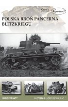 Polska broń pancerna Blitzkregu