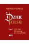 Dzieje Polski. Tom 2. 1202-1340 Od rozbicia do nowej Polski