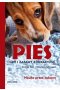 Pies. Gry i zabawy edukacyjne