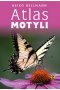Atlas motyli wyd. 2024