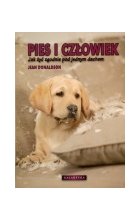 Pies i człowiek jak żyć zgodnie pod jednym dachem
