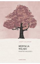 Medytacja wglądu. Praktyka wolności