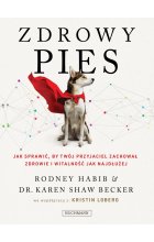 Zdrowy pies. jak sprawić, by twój przyjaciel zachował młodość i witalność jak najdłużej.