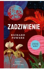 Zadziwienie