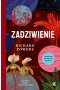 Zadziwienie