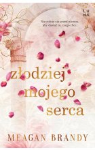 Złodziej mojego serca