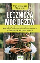 Lecznicza moc drzew. Wykorzystaj uzdrawiające kąpiele leśne, dzięki którym zrelaksujesz się, wzmocnisz odporność i pozbędziesz się negatywnych emocji