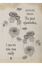 To jest zjawisko. I na to nie ma rady