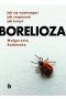 Borelioza