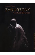 Zanurzony