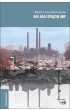 Ballada o śpiącym lwie