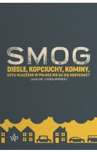 Smog diesle kopciuchy kominy czyli dlaczego w Polsce nie da się oddychać