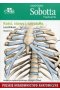 Anatomia Sobotta Flashcards Kości stawy i więzadła