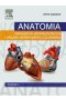 Anatomia narządów wewnętrznych i układu nerwowego człowieka