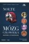 Mózg człowieka Anatomia czynnościowa mózgowia Tom 2