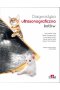 Diagnostyka ultrasonograficzna kotów