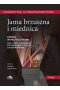 Diagnostyka ultrasonograficzna. Jama brzuszna i miednica. Tom 2