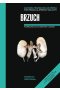 Anatomia prawidłowa człowieka brzuch podręcznik dla studentów i lekarzy
