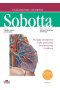 Atlas anatomii człowieka Sobotta Łacińskie mianownictwo. Tom 2