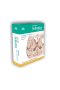Anatomia Sobotta Flashcards Neuroanatomia