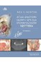 Atlas anatomii głowy i szyi dla stomatologów Nettera