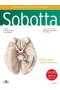 Atlas anatomii człowieka Sobotta Tom 3. Angielskie mianownictwo Głowa, szyja i układ nerwowy