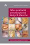 Atlas anatomii artroskopowej dużych stawów