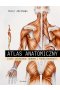 Atlas anatomiczny. Ciało człowieka: budowa i funkcjonowanie