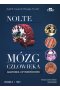 Mózg człowieka. Anatomia czynnościowa mózgowia Tom 1