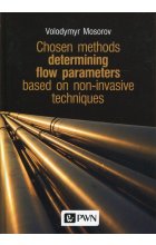Chosen methods determining flow parameters based on non-invasive techniques