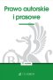 Prawo autorskie i prasowe wyd. 27