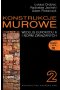 Konstrukcje murowe 2 według eurokodu 6 i norm związanych z płytą CD