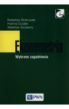 Ekonometria Wybrane zagadnienia