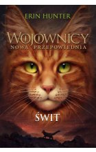 Świt