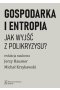Gospodarka i entropia