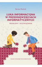 Luka informacyjna w przedsięwzięciach informatycznych. Problemy i rozwiązania