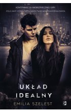 Układ idealny