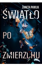 Światło po zmierzchu