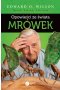 Opowieści ze świata mrówek