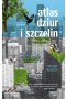 Atlas dziur i szczelin