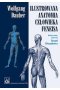 Ilustrowana anatomia człowieka Feneisa