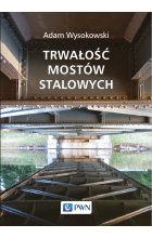 Trwałość mostów stalowych