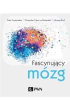 Fascynujący mózg