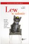 Lew w salonie.