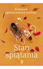 Stan splątania