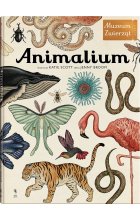Animalium