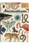 Animalium