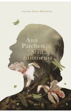 Stan zdumienia.