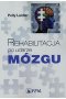 Rehabilitacja po udarze mózgu