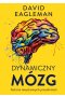 Dynamiczny mózg. Historia nieustannych przeobrażeń